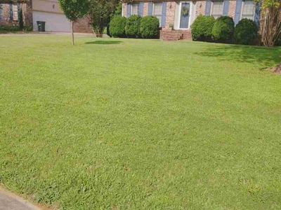 Lawn Care service in Owens Cross Roads, 35763