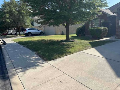 Lawn Care service in Olmos Park, 78212