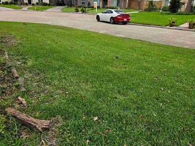 Lawn Care service in Winnie, 77665