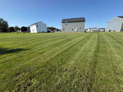 Lawn Care service in Sanborn, 14132