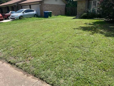 Lawn Care service in Olmos Park, 78212