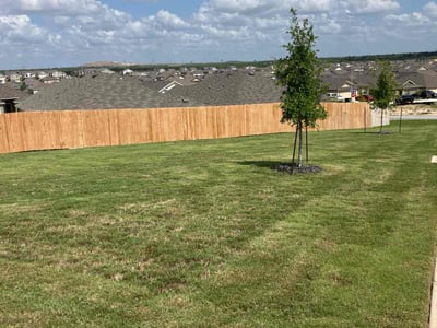Lawn Care service in Kirby, 78219