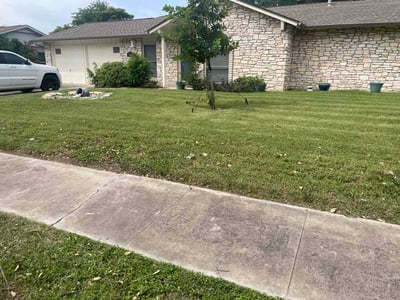 Lawn Care service in Olmos Park, 78212