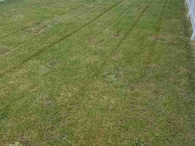 Lawn Care service in Post Falls, 83854