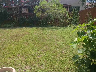 Lawn Care service in Olmos Park, 78212