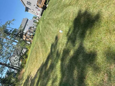 Lawn Care service in North Kingstown, 02852