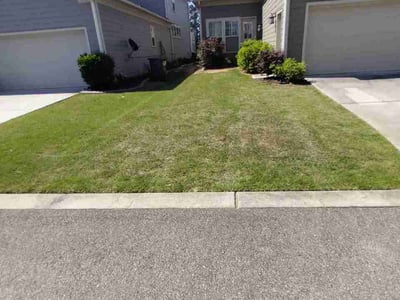 Lawn Care service in Peachtree City, 30269