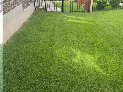 Lawn Care service in Helotes, 78023