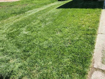 Lawn Care service in Eagle Mountain, 84005