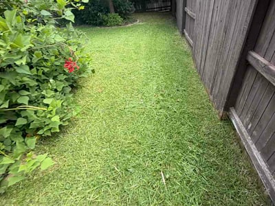Lawn Care service in Helotes, 78023
