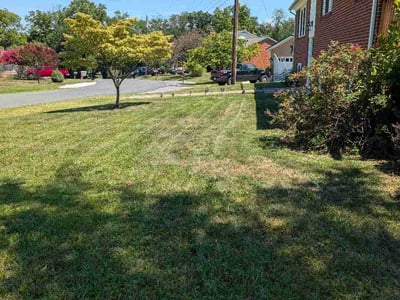 Lawn Care service in Winchester, 22601