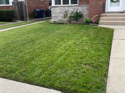 Lawn Care service in Des Plaines, 60016
