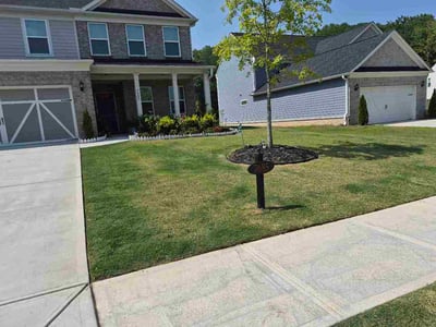 Lawn Care service in Dawsonville, 30534
