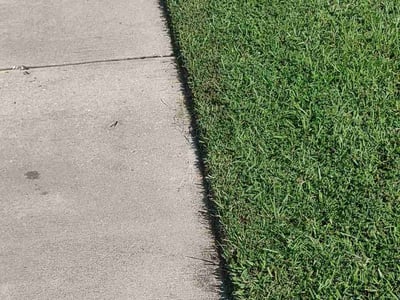 Lawn Care service in Okatie, 29909