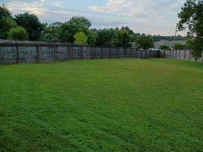 Lawn Care service in Greer, 29651