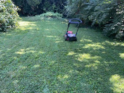 Lawn Care service in Springfield, 45502