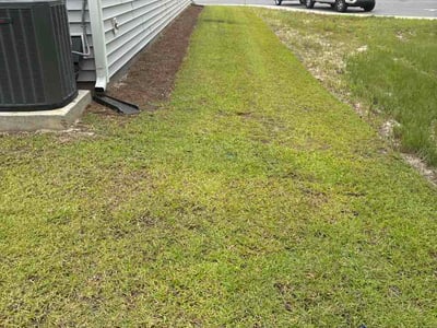 Lawn Care service in Hilton Head Island, 29926