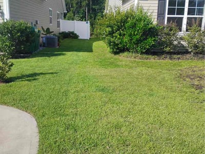 Lawn Care service in Hilton Head Island, 29926