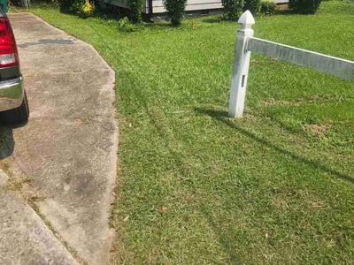 Lawn Care service in Forest Park, 30297