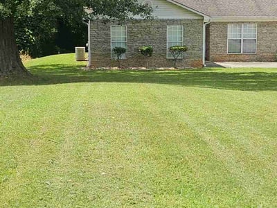 Lawn Care service in Forest Park, 30297