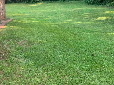 Lawn Care service in Forest Park, 30297