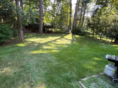 Lawn Care service in Delmar, 12054