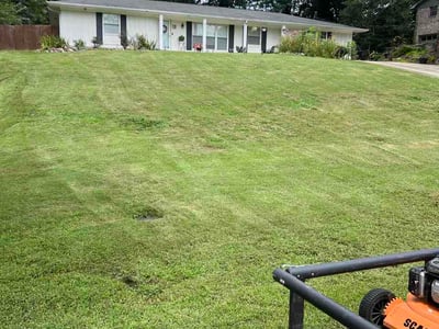 Lawn Care service in Vestavia Hills, 35216