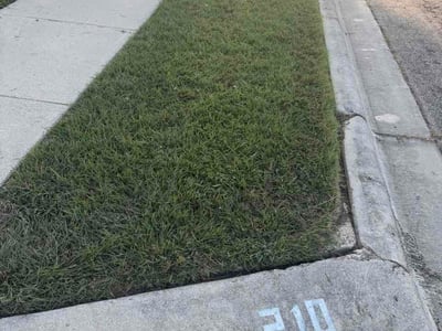 Lawn Care service in Copperas Cove, 76522