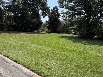 Lawn Care service in London, 40741