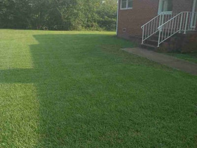 Lawn Care service in London, 40741