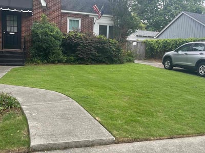 Lawn Care service in West Columbia, 29169