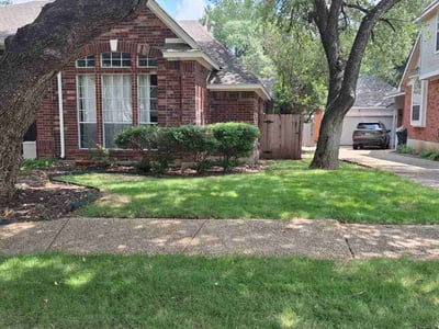 Lawn Care service in Alamo Heights, 78209