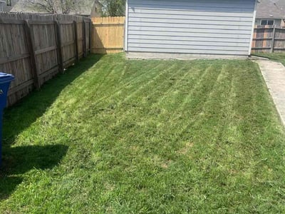 Lawn Care service in Alamo Heights, 78209