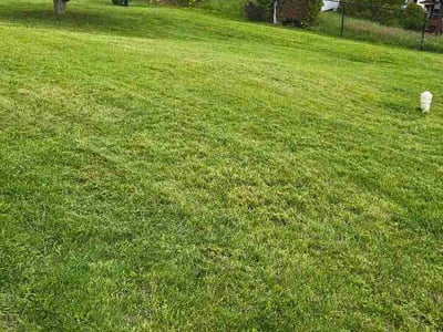 Lawn Care service in Kennedy Township, 15136