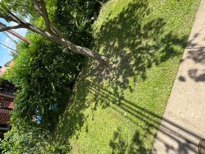 Lawn Care service in Kennedy Township, 15136