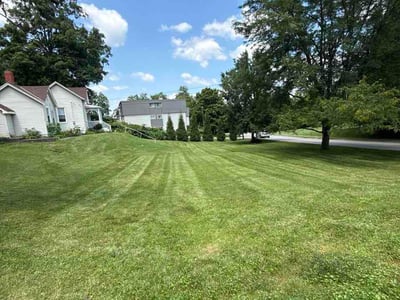 Lawn Care service in Millville, 08332