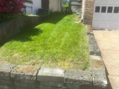 Lawn Care service in Kennedy Township, 15136