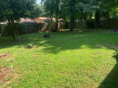 Lawn Care service in ,