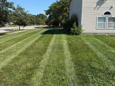 Lawn Care service in Millville, 08332