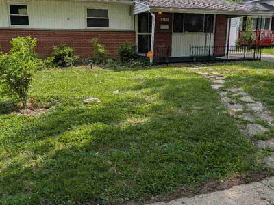 Lawn Care service in Kennedy Township, 15136