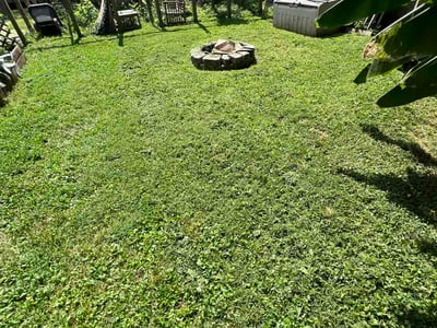 Lawn Care service in Bridgeton, 08302