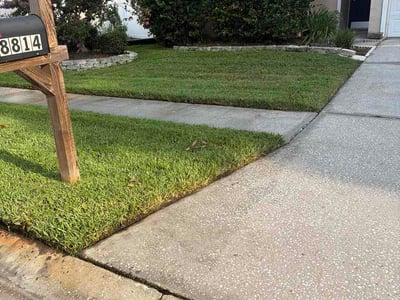 Lawn Care service in Bergenfield, 07621