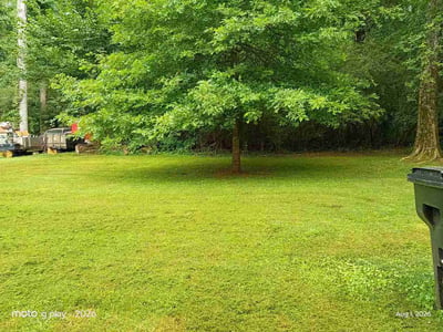 Lawn Care service in Trussville, 35173