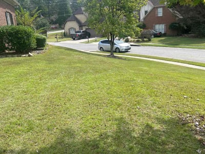 Lawn Care service in Trussville, 35173