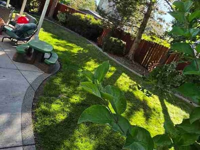 Lawn Care service in Reno, 89501