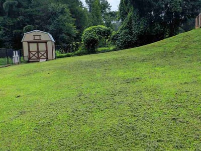 Lawn Care service in Darlington, 29532