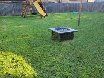 Lawn Care service in Summerlin, 89134