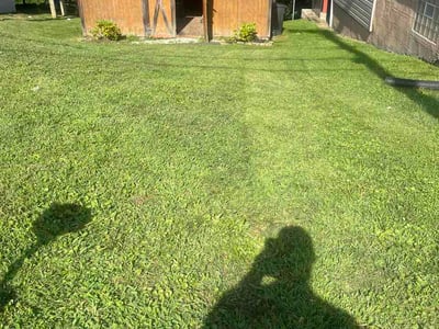 Lawn Care service in Latrobe, 15650