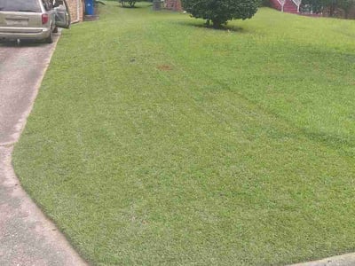 Lawn Care service in East Point, 30344