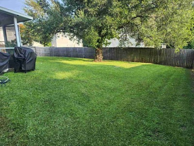 Lawn Care service in Ladson, 29456